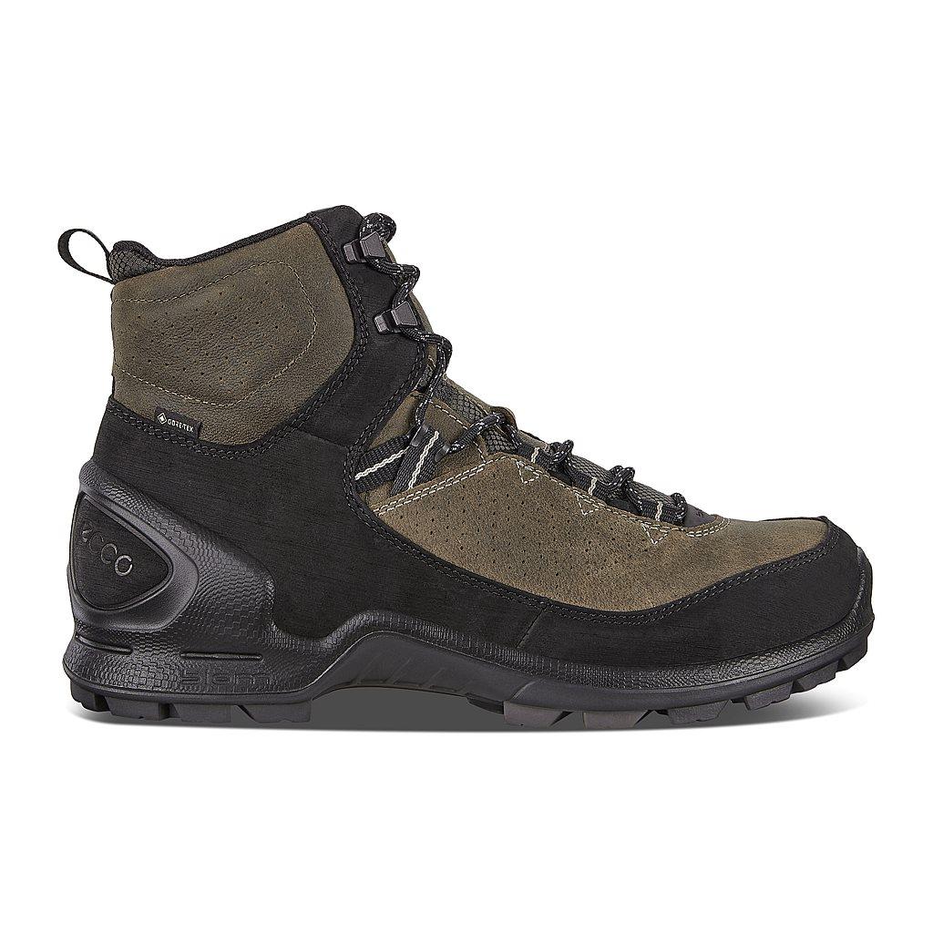 Chaussure Outdoor Ecco Biom Terrain Homme Multicolore 5032-BFZLV